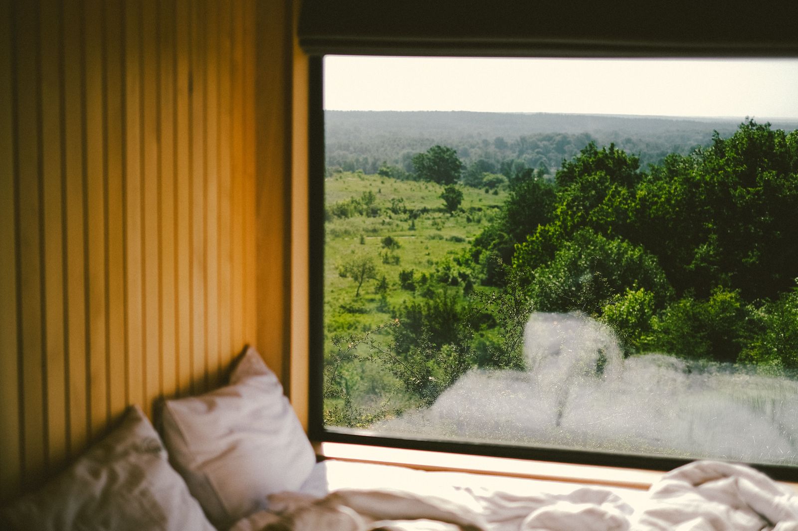 A calm view over a green valley from a wellness cabin window — the kind of space where wellness and travel conversations happen.